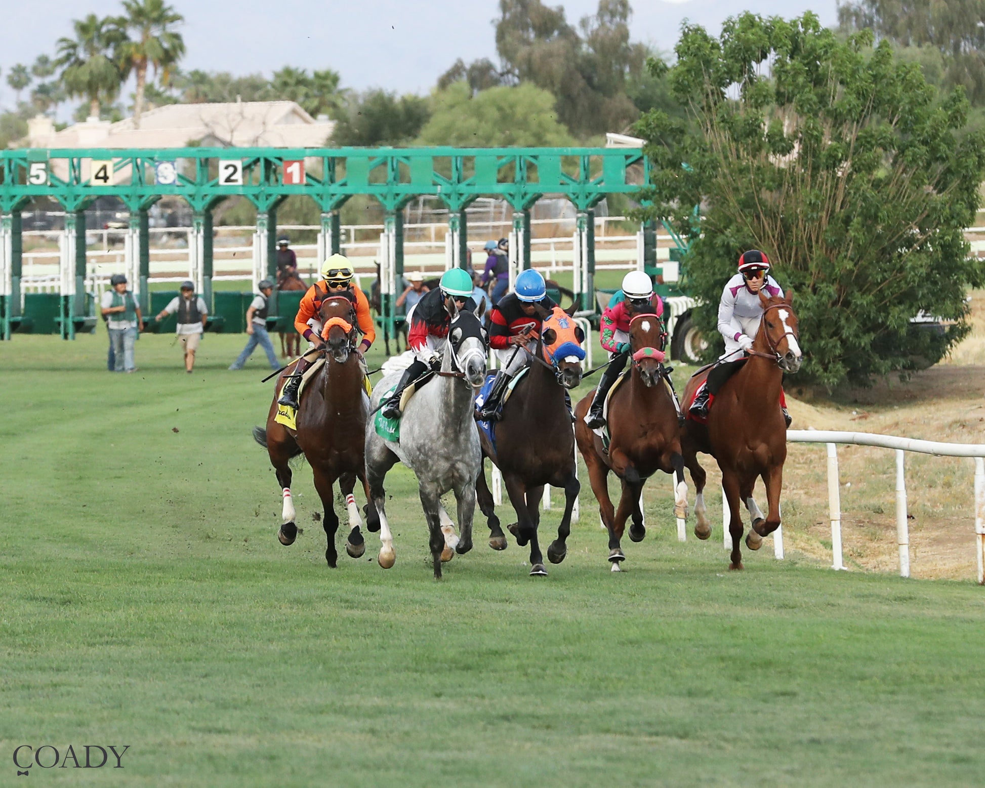 TIME TO FLY - Dwight D Patterson - 04-25-26 - R09 - Turf Paradise - Start - Coady Media - Kurtis Coady Photography