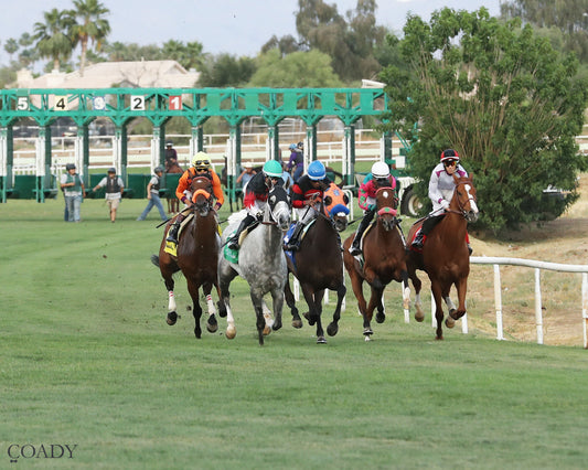 TIME TO FLY - Dwight D Patterson - 04-25-26 - R09 - Turf Paradise - Start - Coady Media - Kurtis Coady Photography