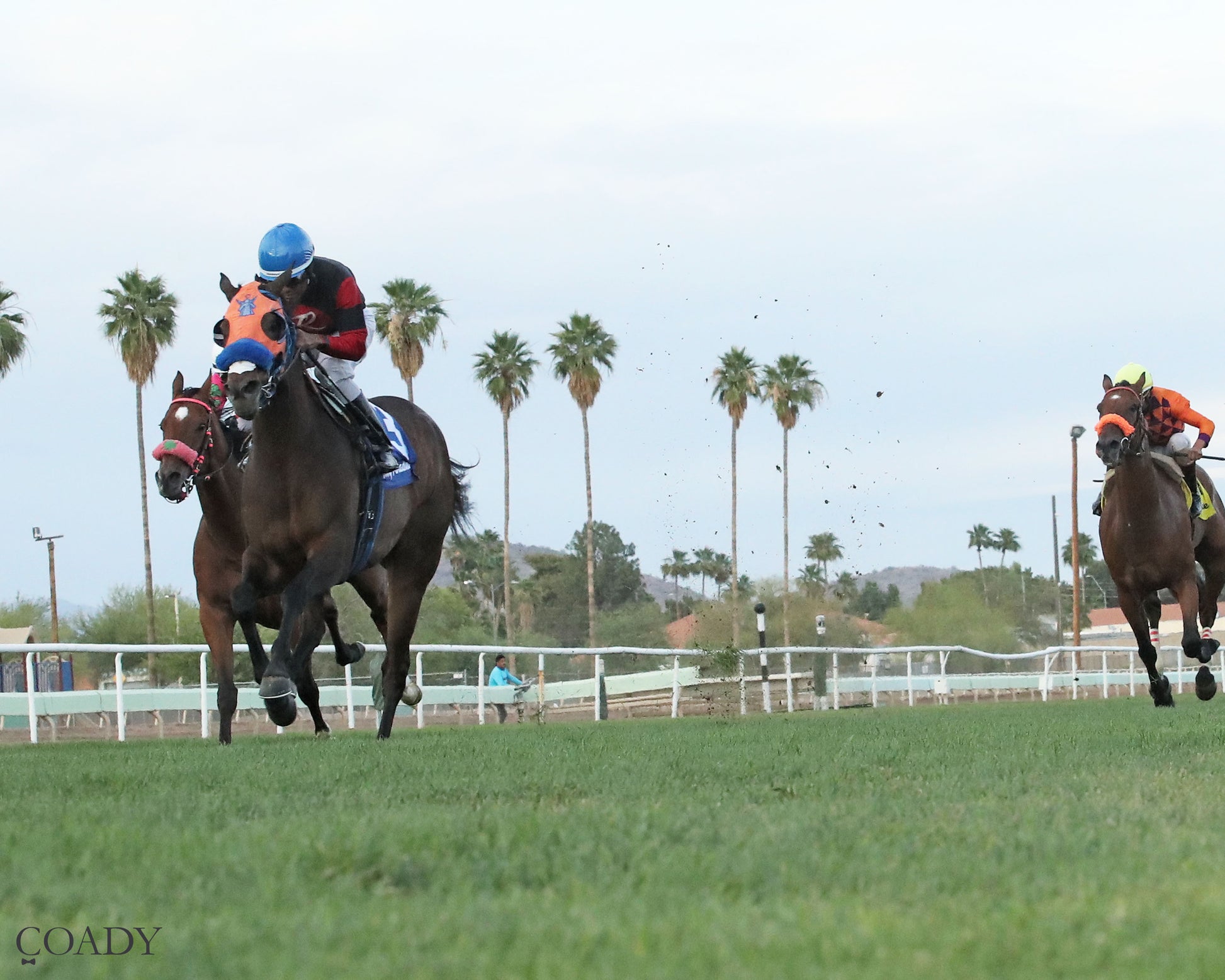 TIME TO FLY - Dwight D Patterson - 04-25-26 - R09 - Turf Paradise - Under Rail - Coady Media - Kurtis Coady Photography