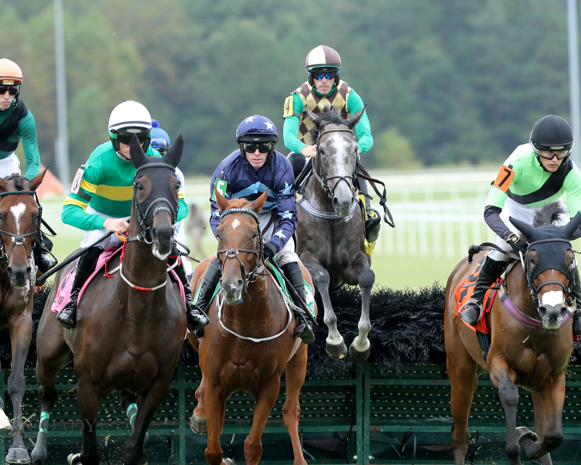 TIMETOSHINE - The Life's Illusion Stakes - 09-11-25 - R03 - CNL - Action 01 - Coady Media - Kurtis Coady Photography