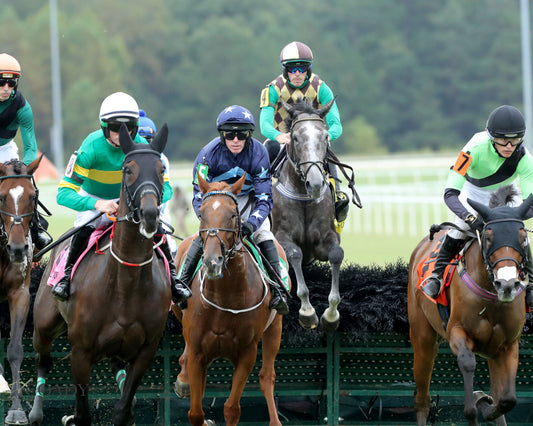 TIMETOSHINE - The Life's Illusion Stakes - 09-11-25 - R03 - CNL - Action 01 - Coady Media - Kurtis Coady Photography