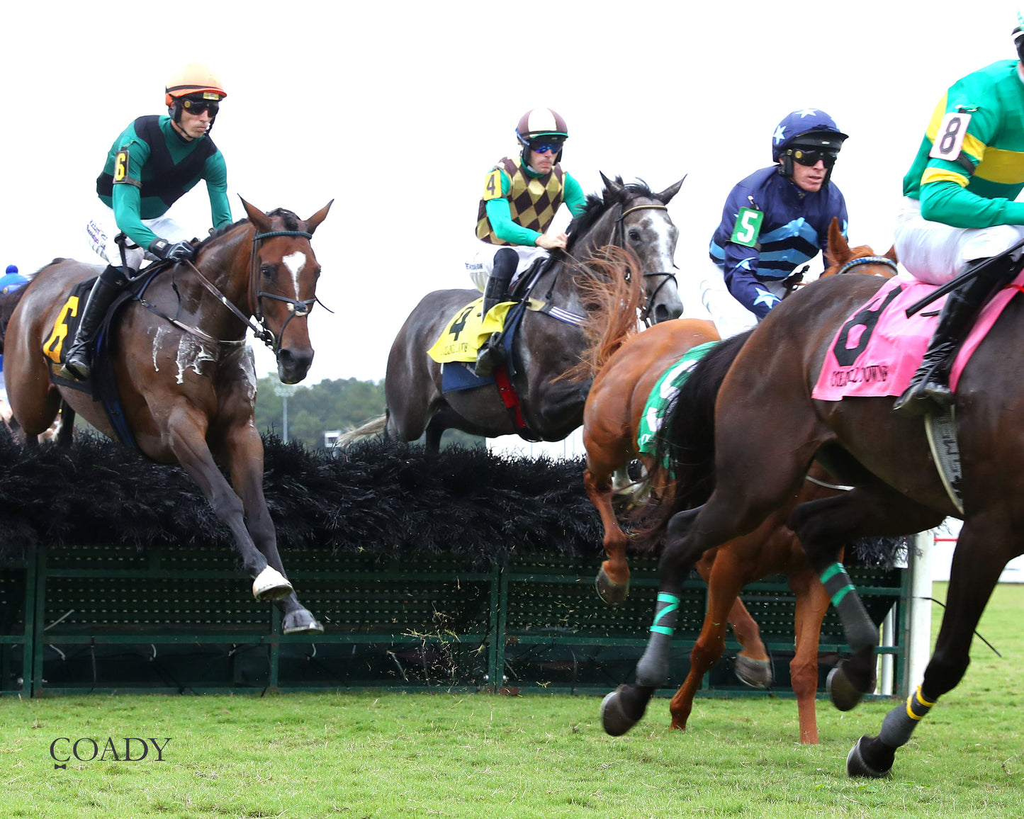 TIMETOSHINE - The Life's Illusion Stakes - 09-11-25 - R03 - CNL - Action 02 - Coady Media - Kurtis Coady Photography