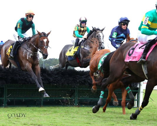 TIMETOSHINE - The Life's Illusion Stakes - 09-11-25 - R03 - CNL - Action 02 - Coady Media - Kurtis Coady Photography