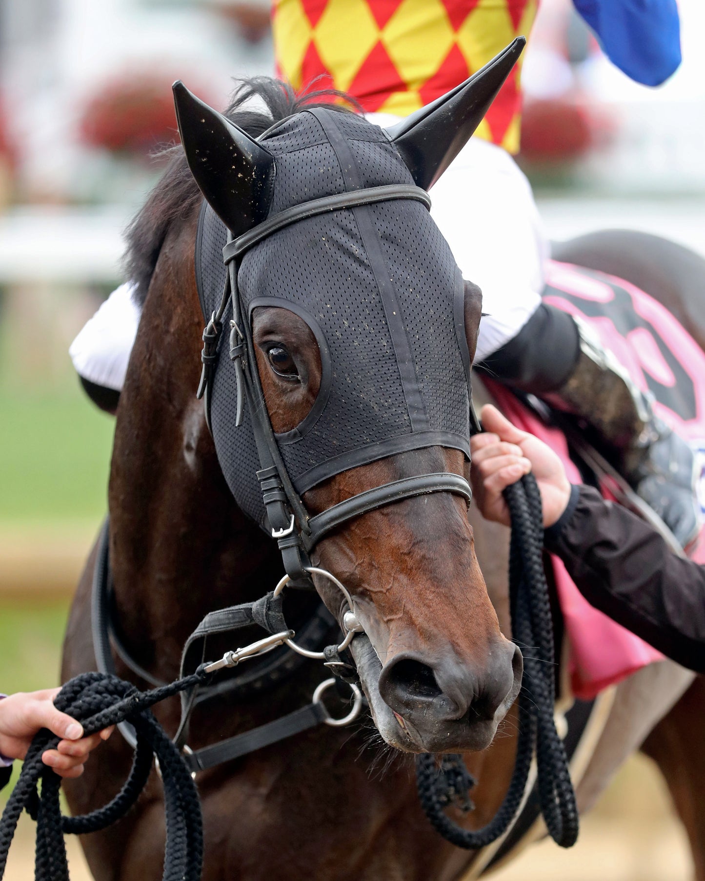 T O ELVIS - The Churchill Downs G1 - 05-02-26 - R10 - CD - Post Race 01 - Coady Media - Kurtis Coady Photography