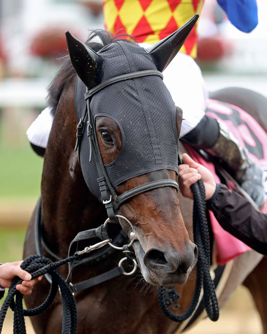 T O ELVIS - The Churchill Downs G1 - 05-02-26 - R10 - CD - Post Race 01 - Coady Media - Kurtis Coady Photography