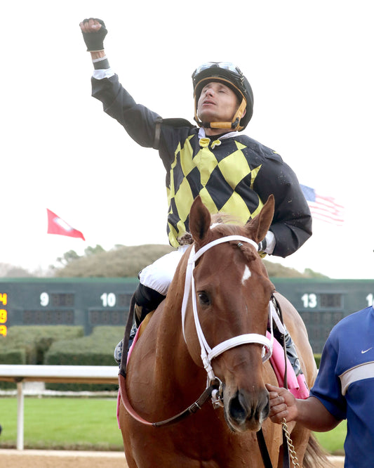 TOUCHDOWN ARKANSAS - Nodouble Breeder's Stakes - 02-21-26 - R08 - OP - Celebration 01 - Coady Media - Kurtis Coady Photography