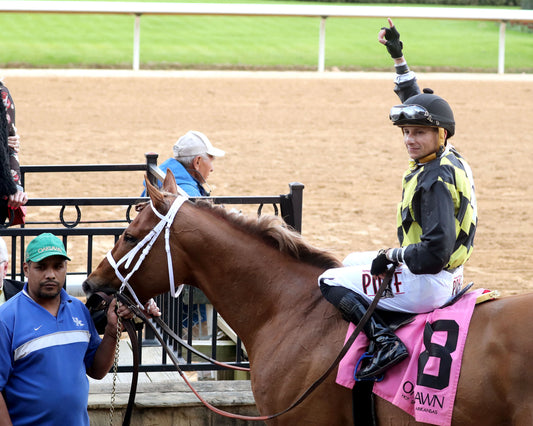 TOUCHDOWN ARKANSAS - Nodouble Breeder's Stakes - 02-21-26 - R08 - OP - Celebration 02 - Coady Media - Kurtis Coady Photography