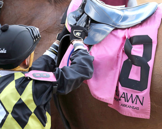 TOUCHDOWN ARKANSAS - Nodouble Breeder's Stakes - 02-21-26 - R08 - OP - Celebration 03 - Coady Media - Kurtis Coady Photography