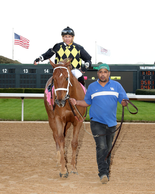 TOUCHDOWN ARKANSAS - Nodouble Breeder's Stakes - 02-21-26 - R08 - OP - ComeBack 01 - Coady Media - Kurtis Coady Photography