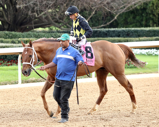 TOUCHDOWN ARKANSAS - Nodouble Breeder's Stakes - 02-21-26 - R08 - OP - ComeBack 02 - Coady Media - Kurtis Coady Photography