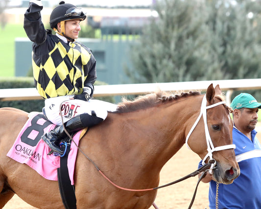 TOUCHDOWN ARKANSAS - Nodouble Breeder's Stakes - 02-21-26 - R08 - OP -  Come Back 03 - Coady Media - Kurtis Coady Photography