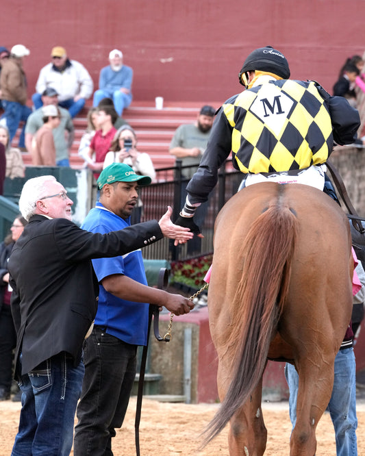 TOUCHDOWN ARKANSAS - Nodouble Breeder's Stakes - 02-21-26 - R08 - OP -  Come Back 05 - Coady Media - Kurtis Coady Photography