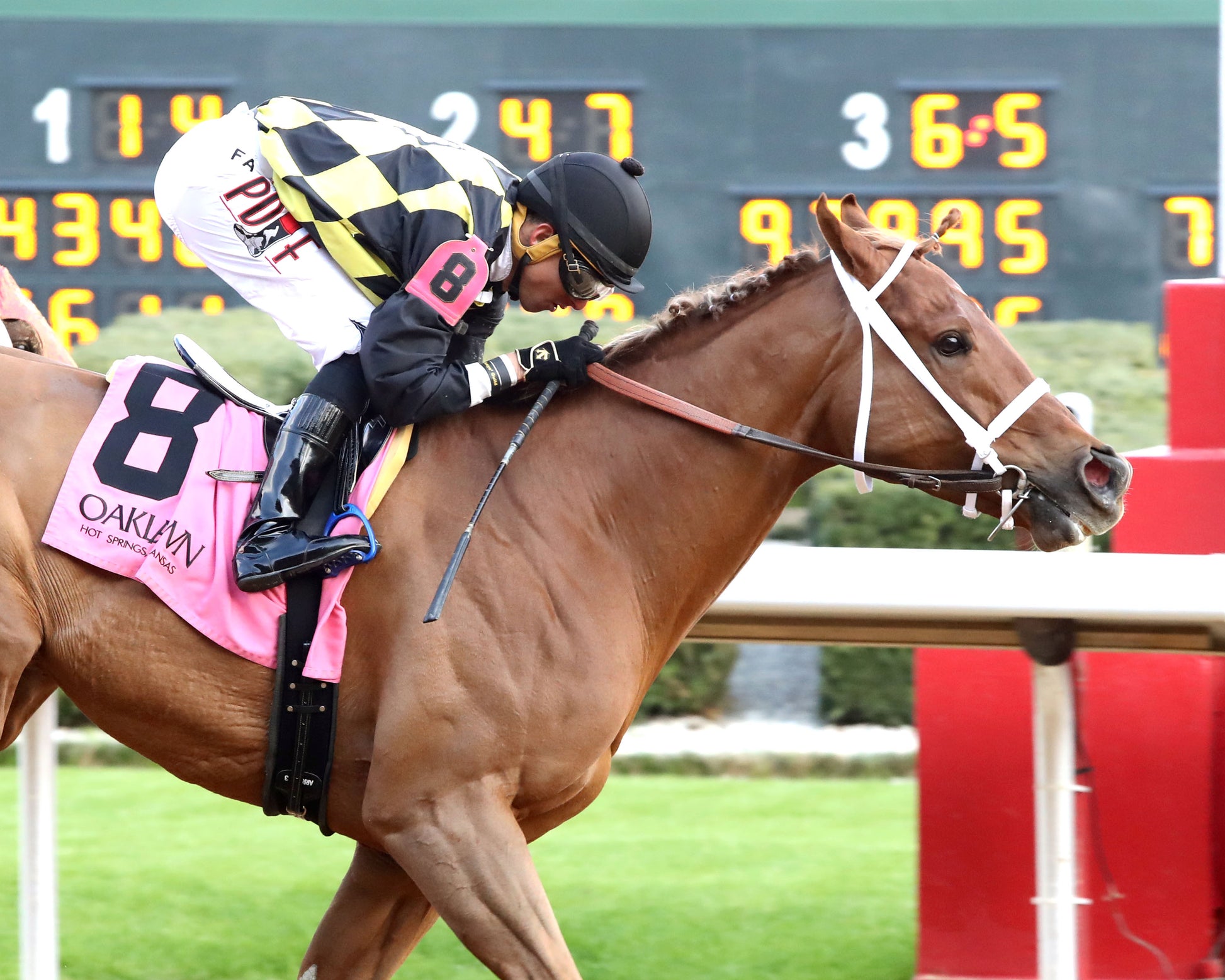 TOUCHDOWN ARKANSAS - Nodouble Breeder's Stakes - 02-21-26 - R08 - OP -  Finish 02 - Coady Media - Kurtis Coady Photography