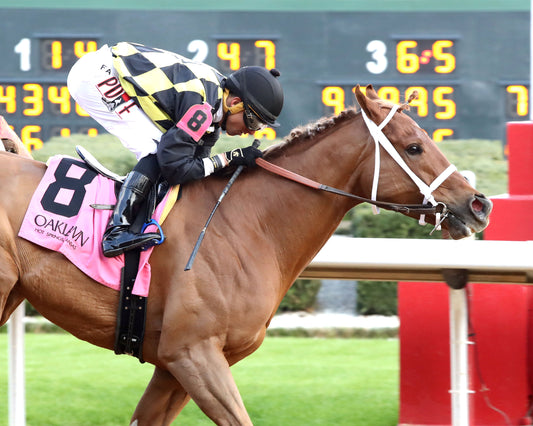 TOUCHDOWN ARKANSAS - Nodouble Breeder's Stakes - 02-21-26 - R08 - OP -  Finish 02 - Coady Media - Kurtis Coady Photography