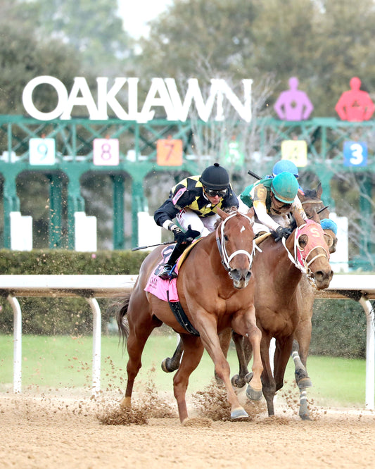 TOUCHDOWN ARKANSAS - Nodouble Breeder's Stakes - 02-21-26 - R08 - OP -  Finish 03 - Coady Media - Kurtis Coady Photography