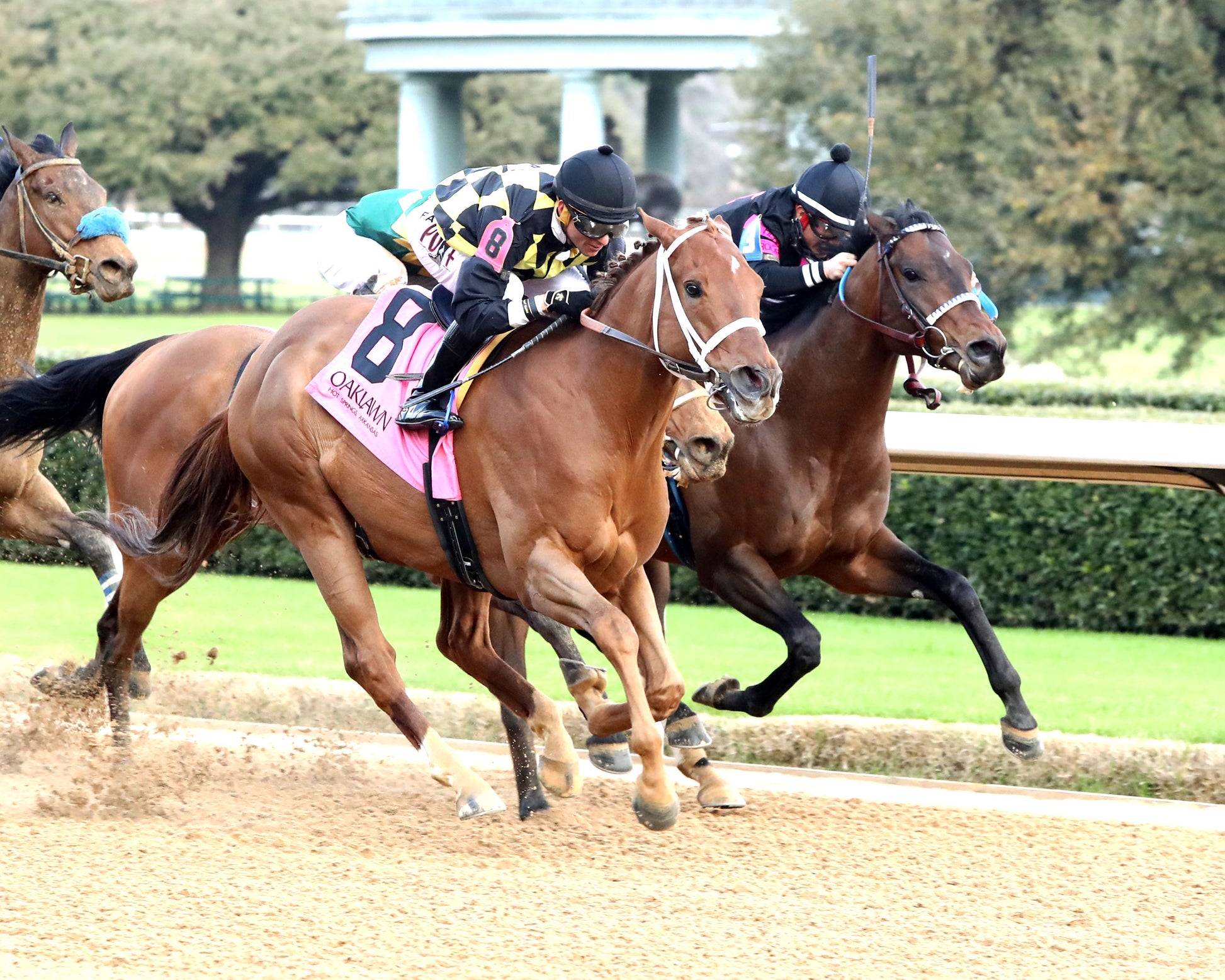 TOUCHDOWN ARKANSAS - Nodouble Breeder's Stakes - 02-21-26 - R08 - OP -  Finish 04 - Coady Media - Kurtis Coady Photography