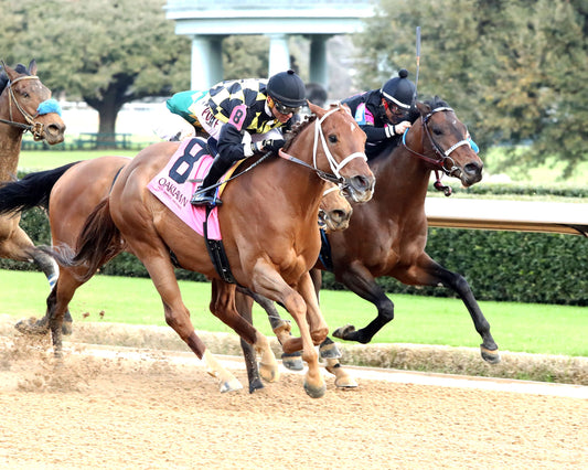 TOUCHDOWN ARKANSAS - Nodouble Breeder's Stakes - 02-21-26 - R08 - OP -  Finish 04 - Coady Media - Kurtis Coady Photography