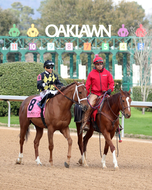 TOUCHDOWN ARKANSAS - Nodouble Breeder's Stakes - 02-21-26 - R08 - OP - Post Parade 02 - Coady Media - Kurtis Coady Photography