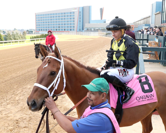 TOUCHDOWN ARKANSAS - Nodouble Breeder's Stakes - 02-21-26 - R08 - OP - Post Parade 03 - Coady Media - Kurtis Coady Photography