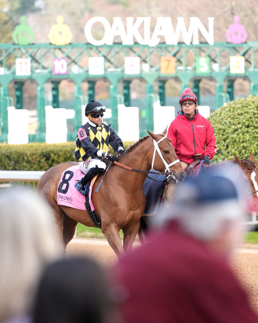 TOUCHDOWN ARKANSAS - Nodouble Breeder's Stakes - 02-21-26 - R08 - OP - Post Parade 05 - Coady Media - Kurtis Coady Photography