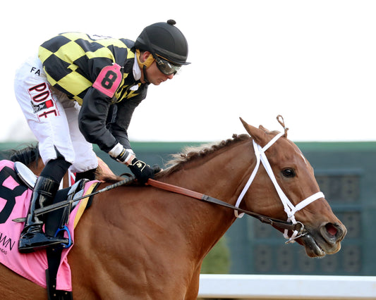 TOUCHDOWN ARKANSAS - Nodouble Breeder's Stakes - 02-21-26 - R08 - OP - Tight Finish 01 - Coady Media - Kurtis Coady Photography
