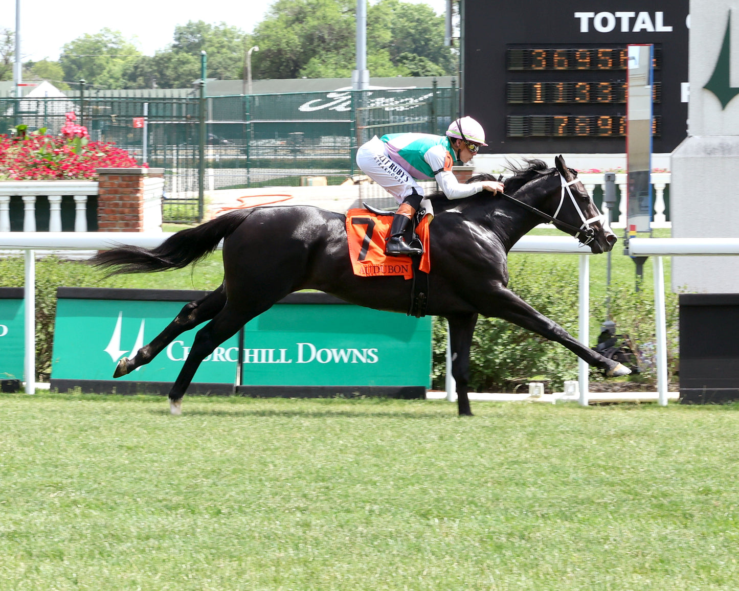 TOUCH OF FIRE - 053026 - Race 05 - CD - Finish 01