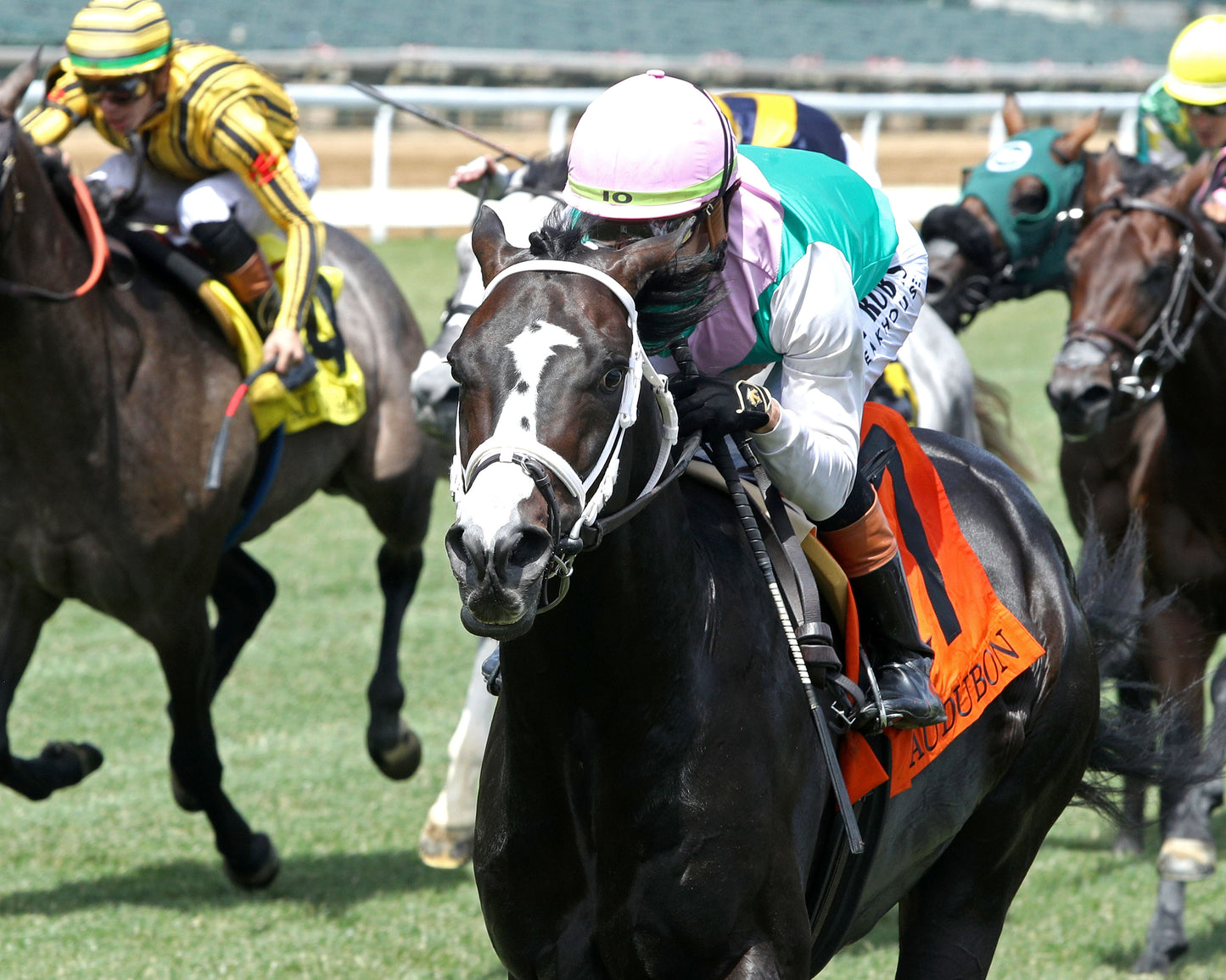 TOUCH OF FIRE - 053026 - Race 05 - CD - Inside Finish 01