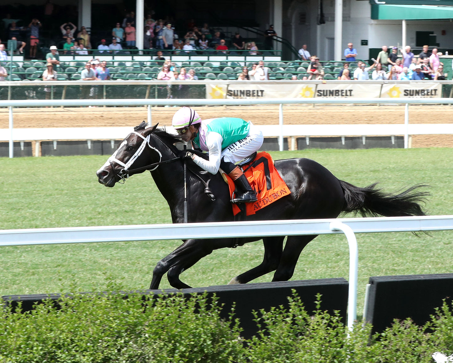 TOUCH OF FIRE - 053026 - Race 05 - CD - Inside Finish 02