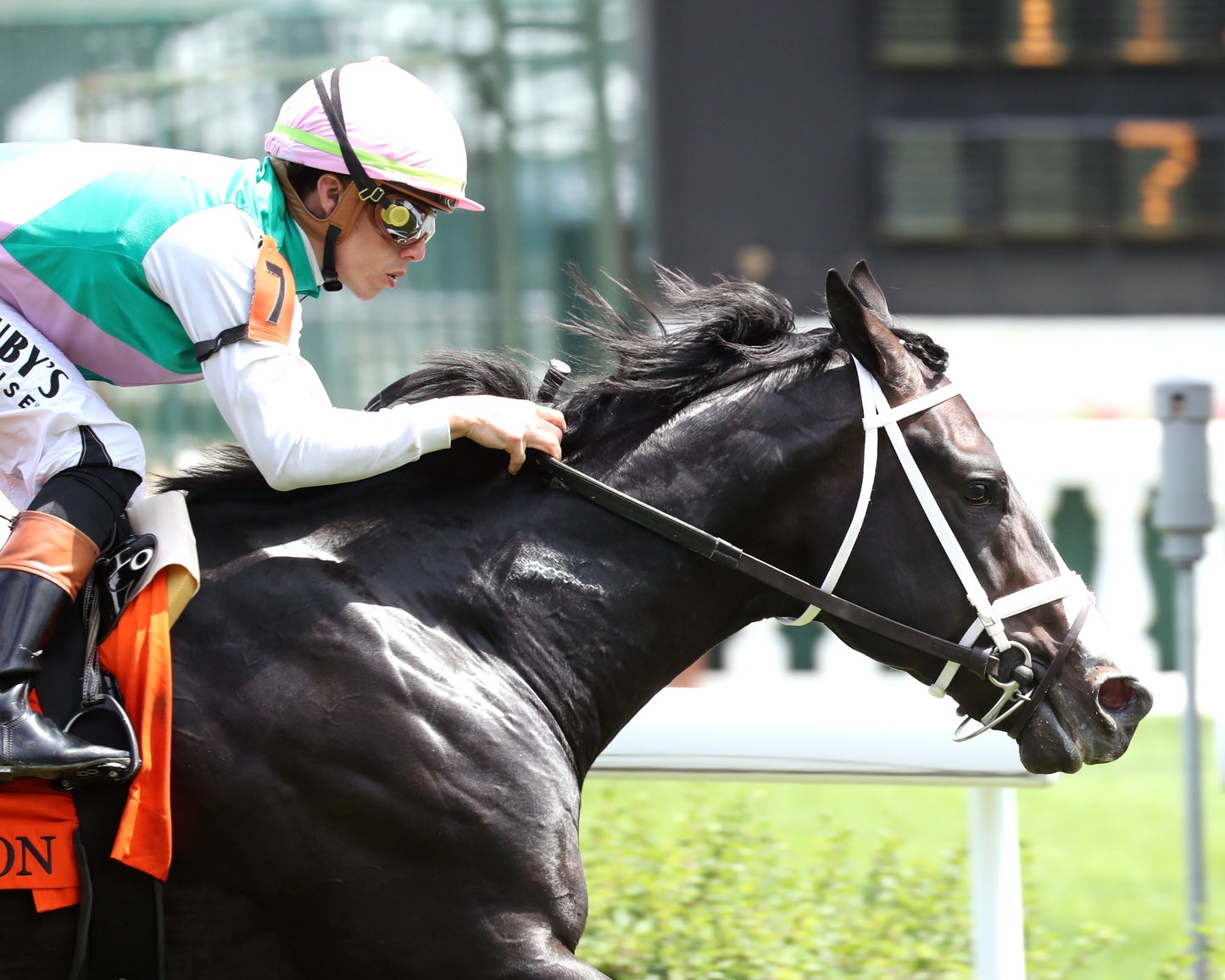 TOUCH OF FIRE - 053026 - Race 05 - CD - Finish 02