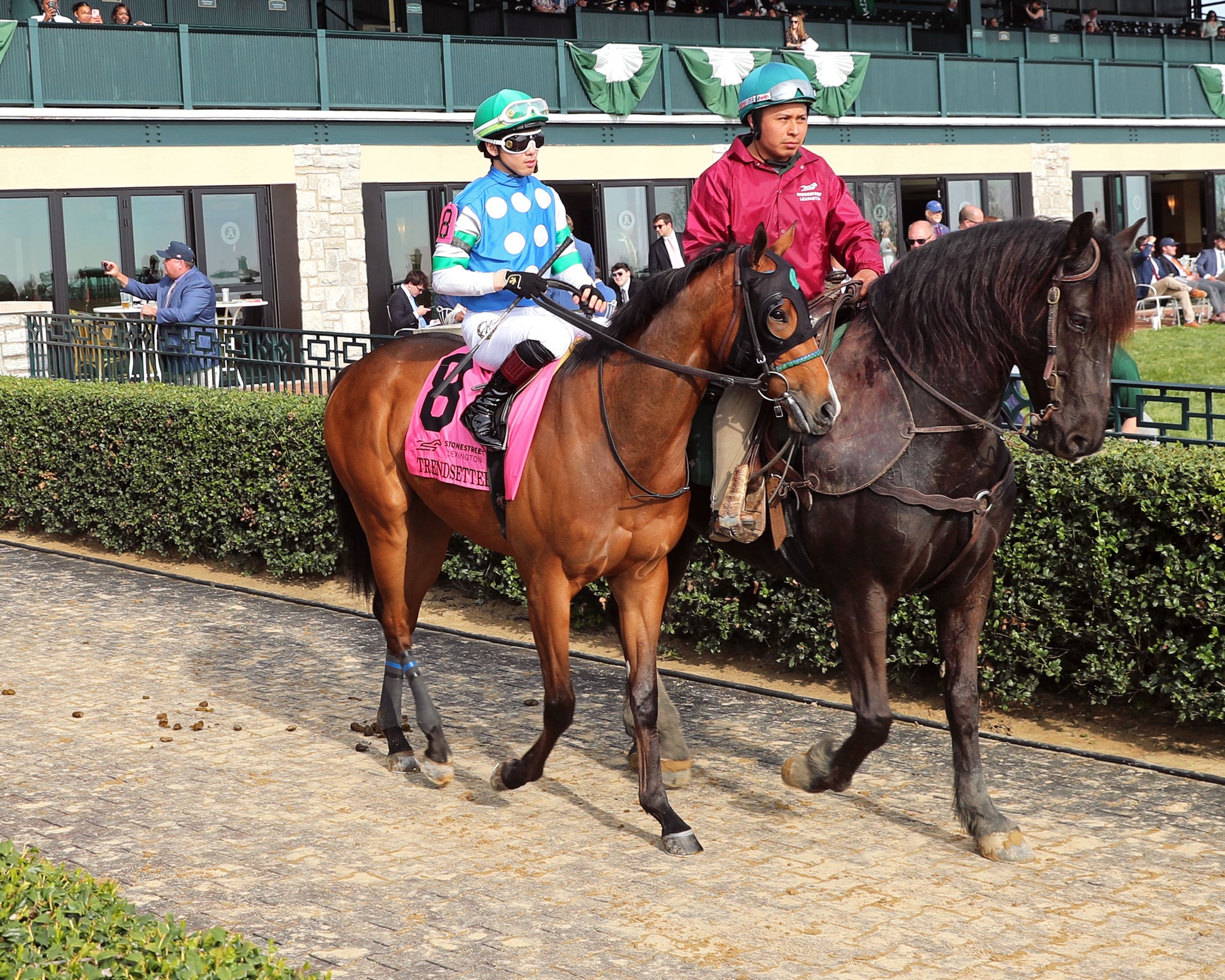 TRENDSETTER - 041126 - Race 10 - KEE  Stonestreet Lexington G3 - 44th Running - Post Parade 01 - Coady Media - Kurtis Coady Photography