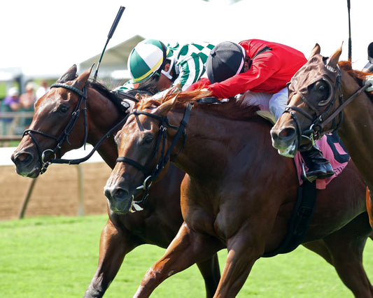 TRISKELION - The Pea Patch - 07-05-26 - R08 - ELP - Inside Finish 01