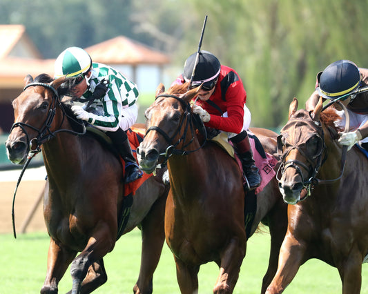 TRISKELION - The Pea Patch - 07-05-26 - R08 - ELP - Inside Finish 03