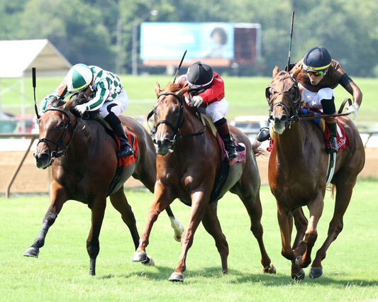 TRISKELION - The Pea Patch - 07-05-26 - R08 - ELP - Inside Finish 04
