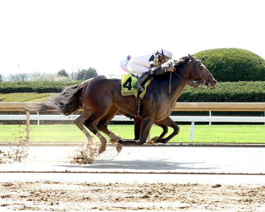 TROUBLE CALLING - 040326 - Race 05 - KEE  The Lafayette - 78th  Running - Finish 01 - Coady Media - Kurtis Coady Photography