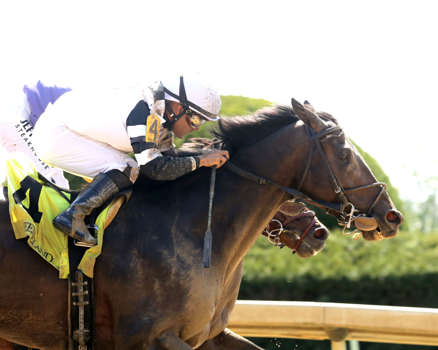 TROUBLE CALLING - 040326 - Race 05 - KEE  The Lafayette - 78th  Running - Finish 03 - Coady Media - Kurtis Coady Photography