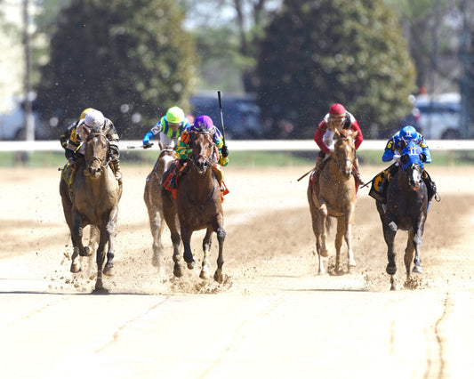 TROUBLE CALLING - 040326 - Race 05 - KEE  The Lafayette - 78th  Running - Head On 01 - Coady Media - Kurtis Coady Photography