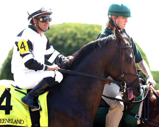 TROUBLE CALLING - 040326 - Race 05 - KEE  The Lafayette - 78th  Running - Post Parade 01 - Coady Media - Kurtis Coady Photography