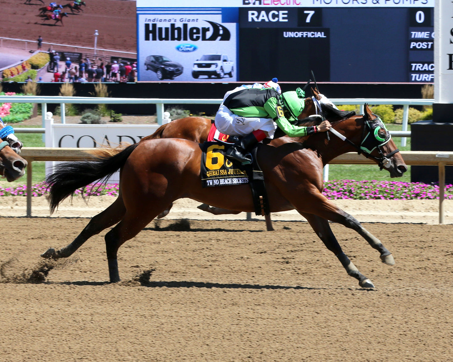 TW NO BEACH SECRETS - QHRAI Stallion Service Auction Futurity Juvenile - 08-30-25 - R07 - Horseshoe Indiana - Finish 01 - Sammantha Pagels - Coady Media - Kurtis Coady Photography