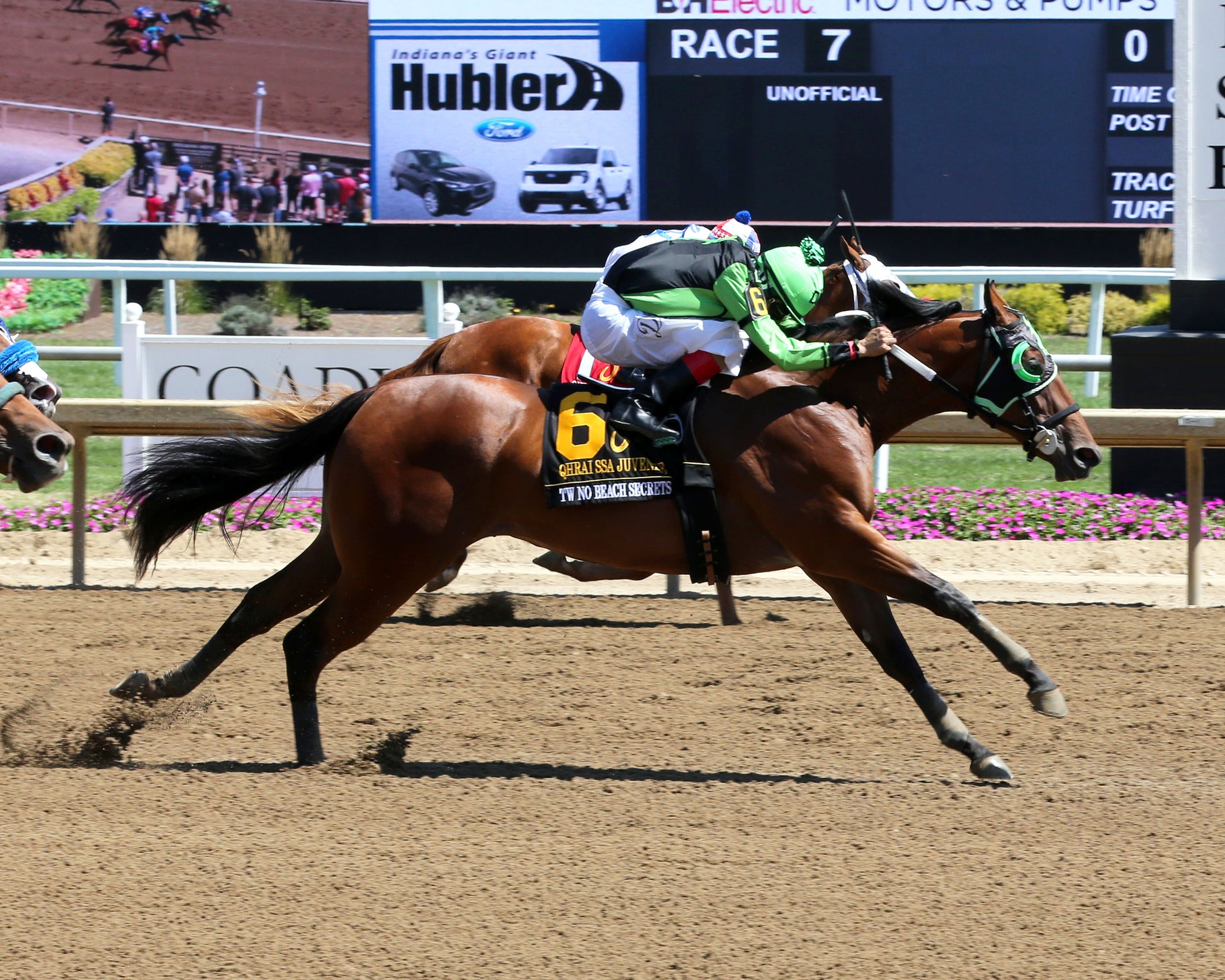 TW NO BEACH SECRETS - QHRAI Stallion Service Auction Futurity Juvenile - 08-30-25 - R07 - Horseshoe Indiana - Finish 01 - Sammantha Pagels - Coady Media - Kurtis Coady Photography