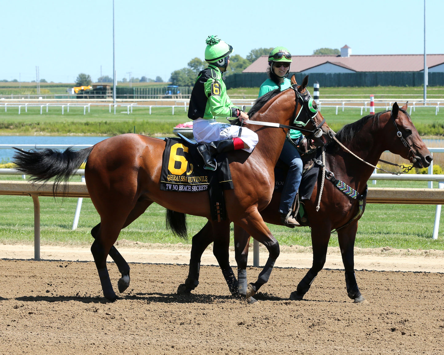 TW NO BEACH SECRETS - QHRAI Stallion Service Auction Futurity Juvenile - 08-30-25 - R07 - Horseshoe Indiana - Post Parade 01 -Sammantha Pagels - Coady Media - Kurtis Coady Photography