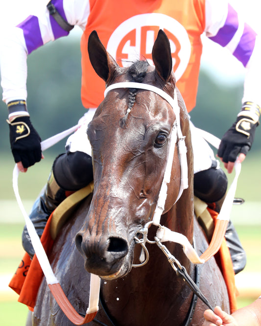 TWO SEVEN O - Dade Park Dash Stakes - 07-04-26 - R08 - ELP - Come Back 01