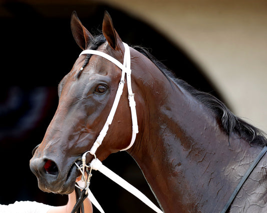 TWO SEVEN O - Dade Park Dash Stakes - 07-04-26 - R08 - ELP - Come Back 05