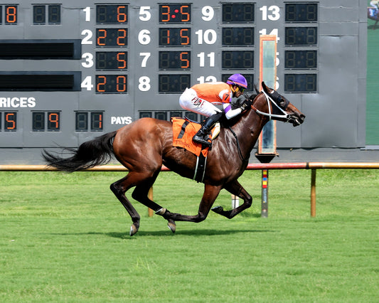 TWO SEVEN O - Dade Park Dash Stakes - 07-04-26 - R08 - ELP - Finish 01