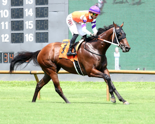 TWO SEVEN O - Dade Park Dash Stakes - 07-04-26 - R08 - ELP - Finish 03