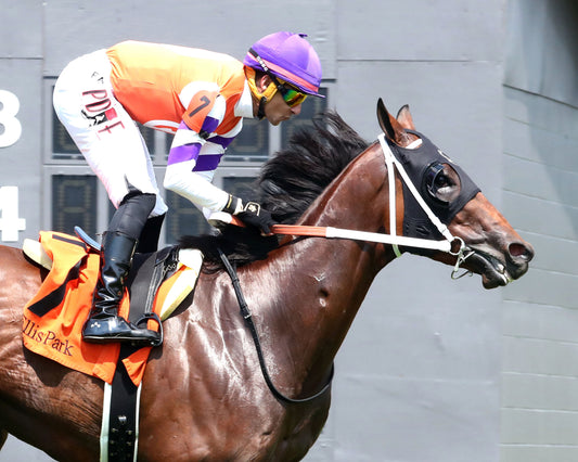 TWO SEVEN O - Dade Park Dash Stakes - 07-04-26 - R08 - ELP - Finish 04