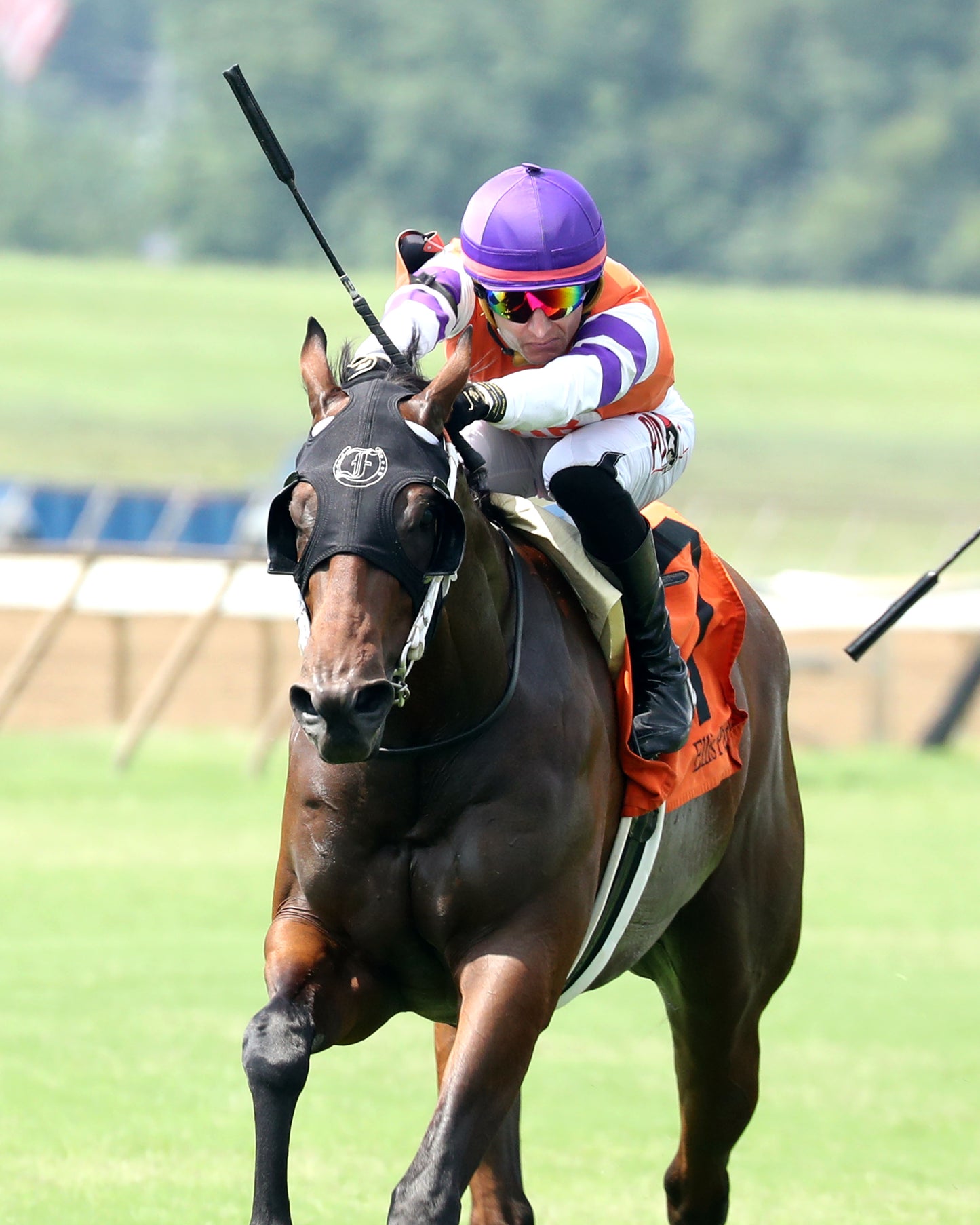 TWO SEVEN O - Dade Park Dash Stakes - 07-04-26 - R08 - ELP - Finish 05