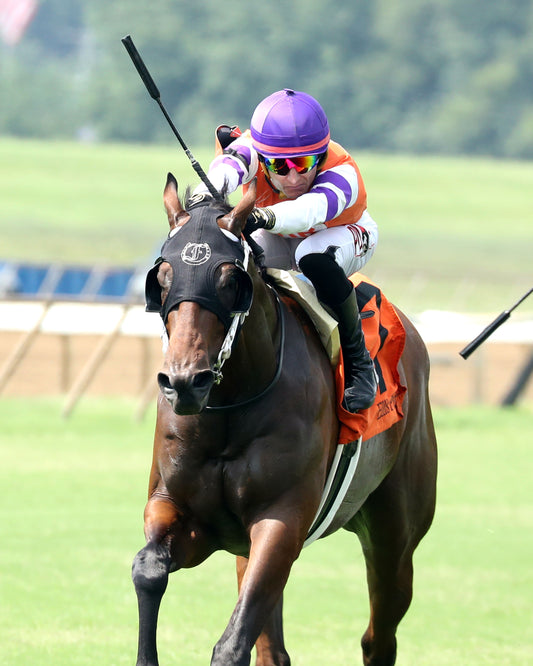 TWO SEVEN O - Dade Park Dash Stakes - 07-04-26 - R08 - ELP - Inside Finish 01