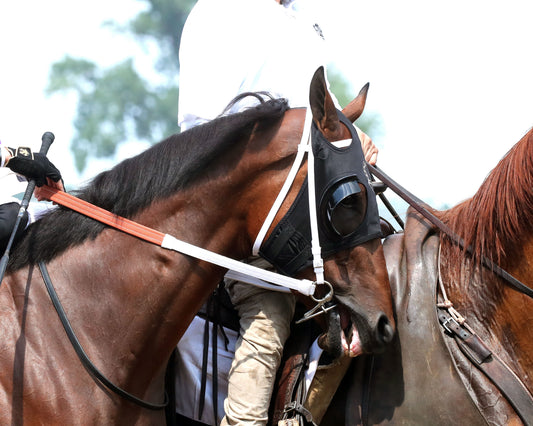 TWO SEVEN O - Dade Park Dash Stakes - 07-04-26 - R08 - ELP - Post Parade 01