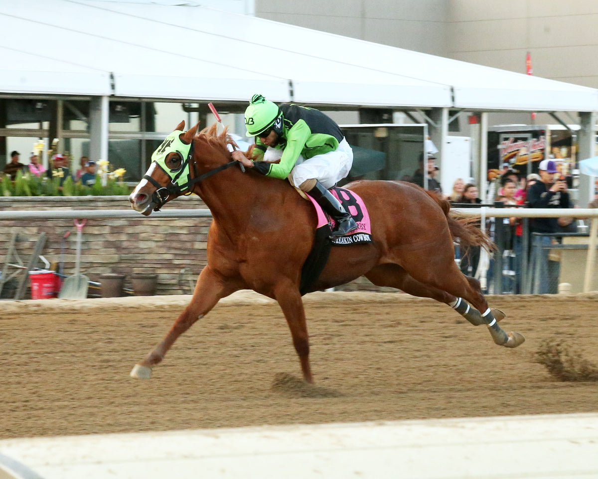 TW STREAKIN COWBOY - QHRAI Derby Final - 30th Running - 10-24-26 - R13 - Horseshoe Indiana - Inside Finish 01 - Devin Hall - Coady Media - Kurtis Coady Photography