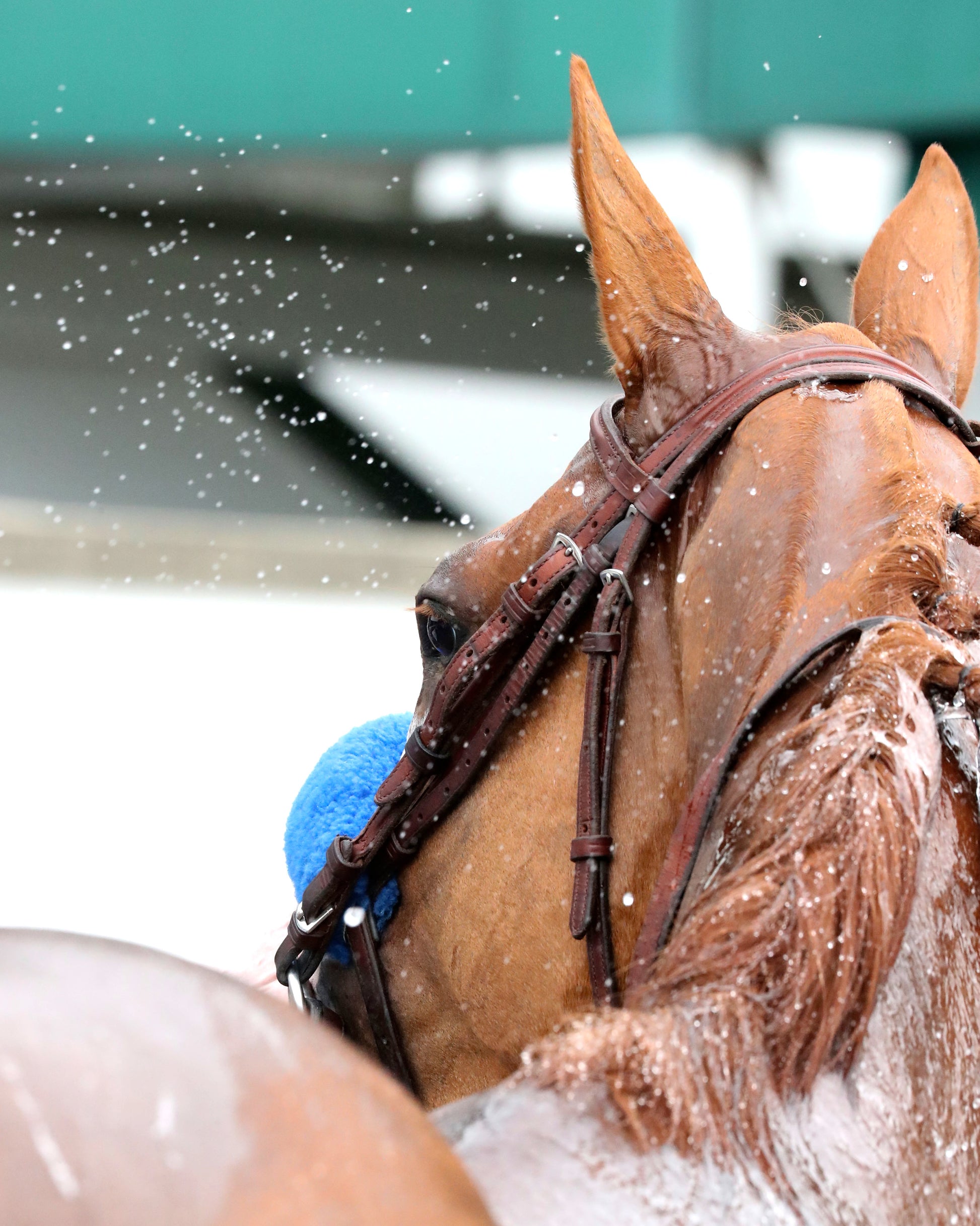 USHA - The Winning Colors G3 - 05-25-26 - R08 - CD - Come Back 04 - Coady Media - Kurtis Coady Photography